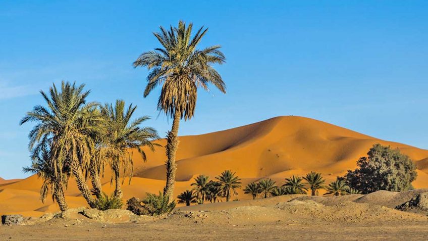 Voyage et Randonnées Au Maroc