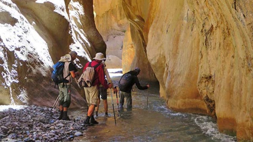 TREKKING MGOUN