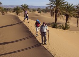 Circuit de Fes à Marrakech Via les dunes d'Erg Chebbi