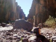 Treks sud marocain Trek Saghro avec Zaid le nomade